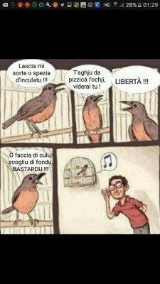 FB_IMG_1732634834730.jpg